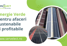 Servelect și Moldovan Carmangerie, două branduri clujene în parteneriat pentru energie verde